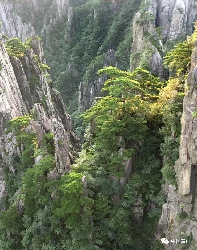 击碎怪蛋军团
